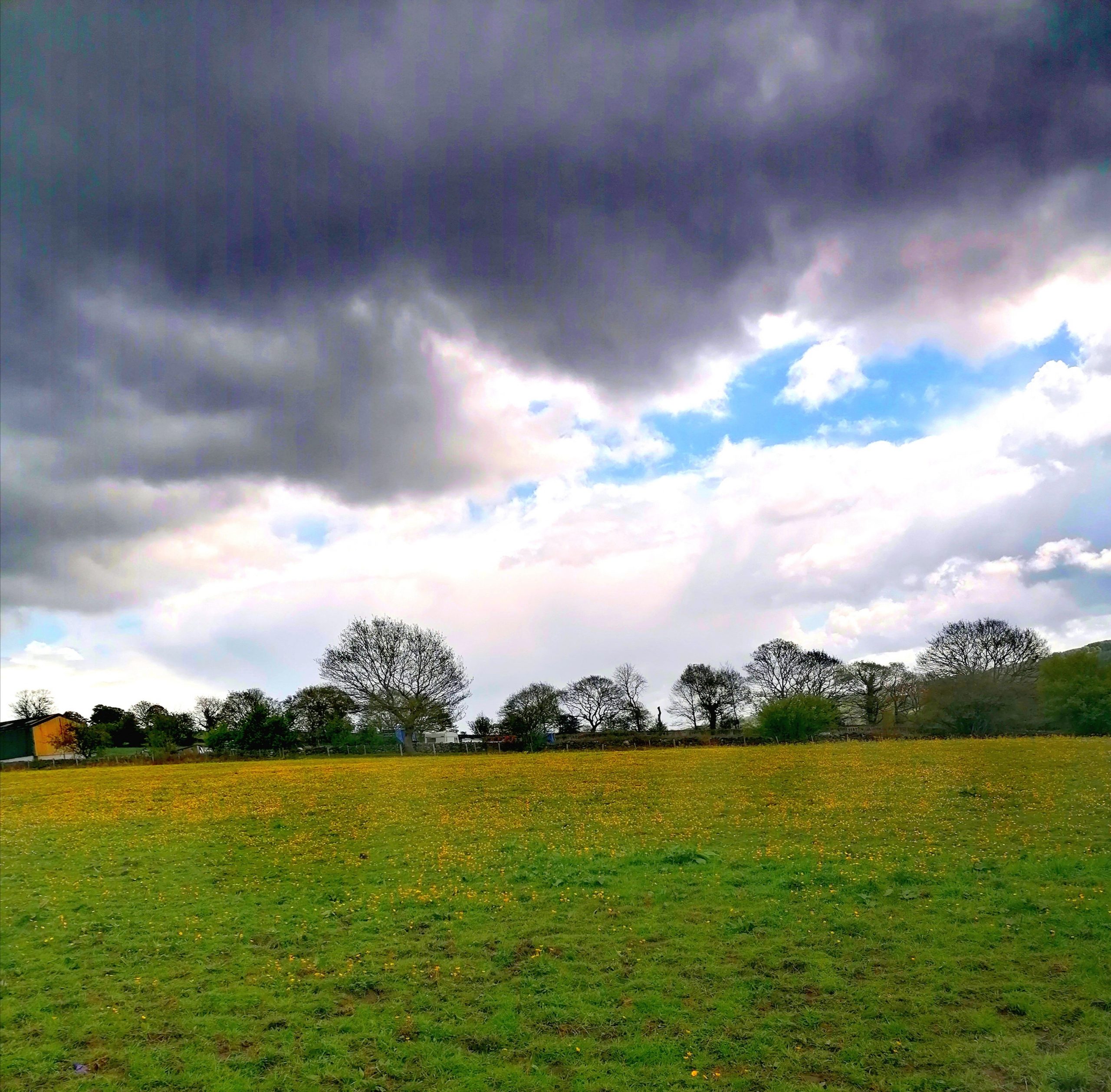 Fwd: Buttercups and Moody Skies over Rural S6, by Vee Jay			
					</div><!-- .entry-content -->
		
		<footer>
		
		
		
					
					</footer><!-- .entry-meta -->
	</article><!-- #post -->
				
											
				
		
<hr class=