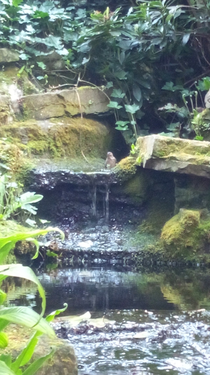 Fwd: Sarah Bark..Wentworth House Garden			
					</div><!-- .entry-content -->
		
		<footer>
		
		
		
					
					</footer><!-- .entry-meta -->
	</article><!-- #post -->
				
											
				
		
<hr class=