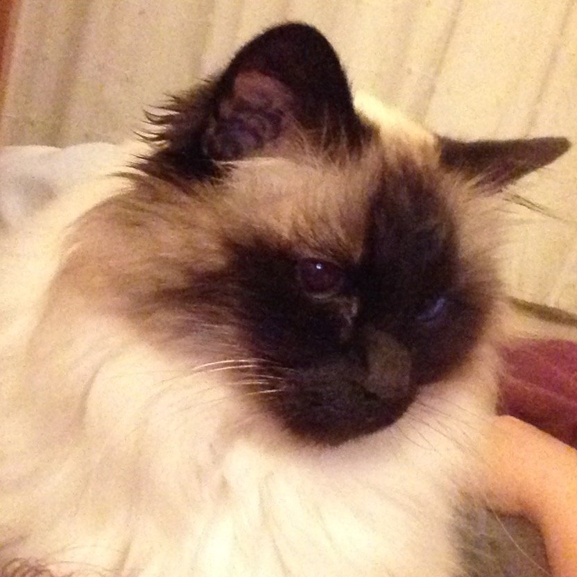 Fwd: Oliver			
					</div><!-- .entry-content -->
		
		<footer>
		
		
		
					
					</footer><!-- .entry-meta -->
	</article><!-- #post -->
				
											
				
		
<hr class=