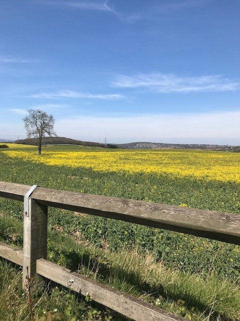 Fwd: Treeton Lane by Val Unwin			
					</div><!-- .entry-content -->
		
		<footer>
		
		
		
					
					</footer><!-- .entry-meta -->
	</article><!-- #post -->
				
											
				
		
<hr class=