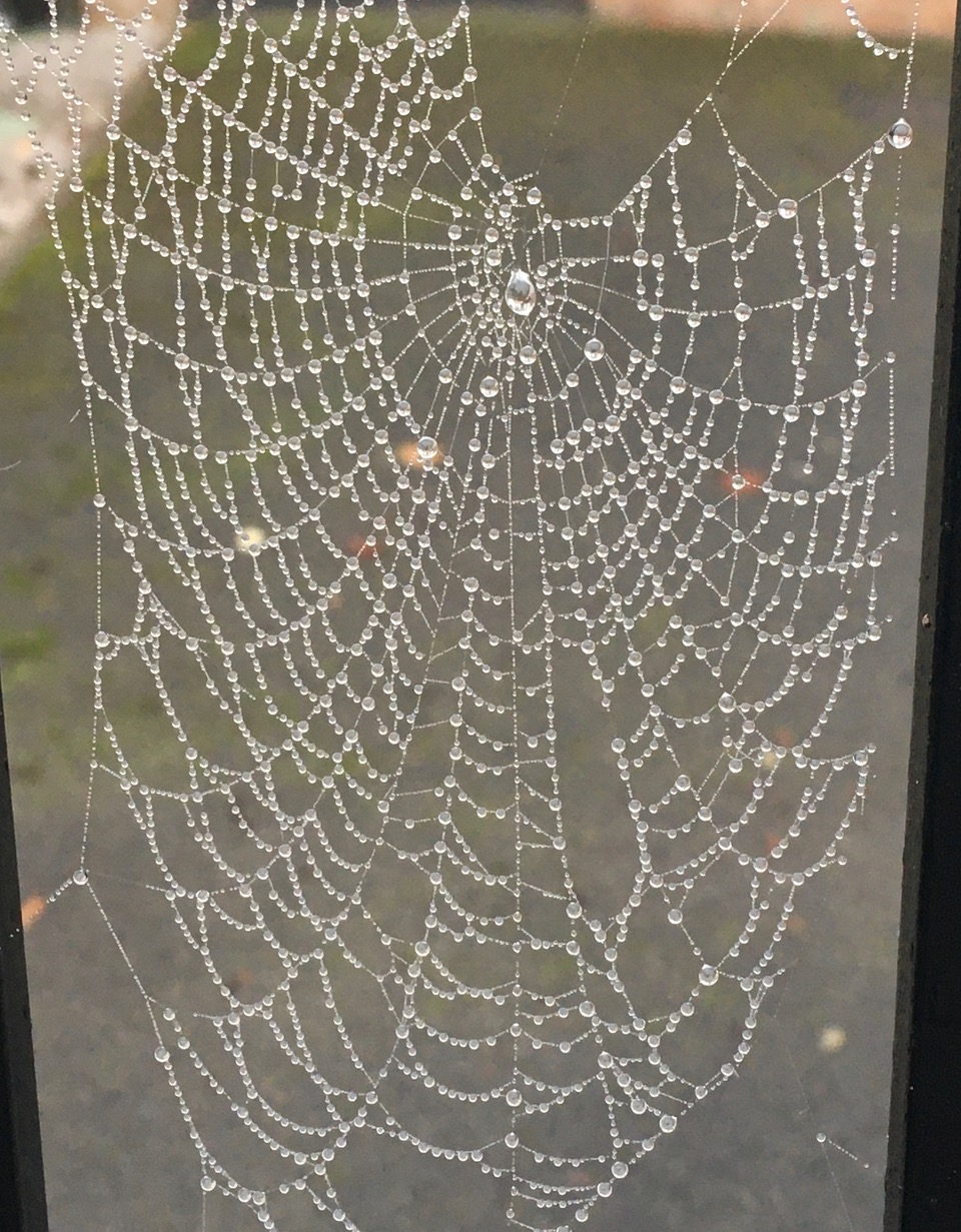 Fwd: Heavy dew			
					</div><!-- .entry-content -->
		
		<footer>
		
		
		
					
					</footer><!-- .entry-meta -->
	</article><!-- #post -->
				
											
				
		
<hr class=