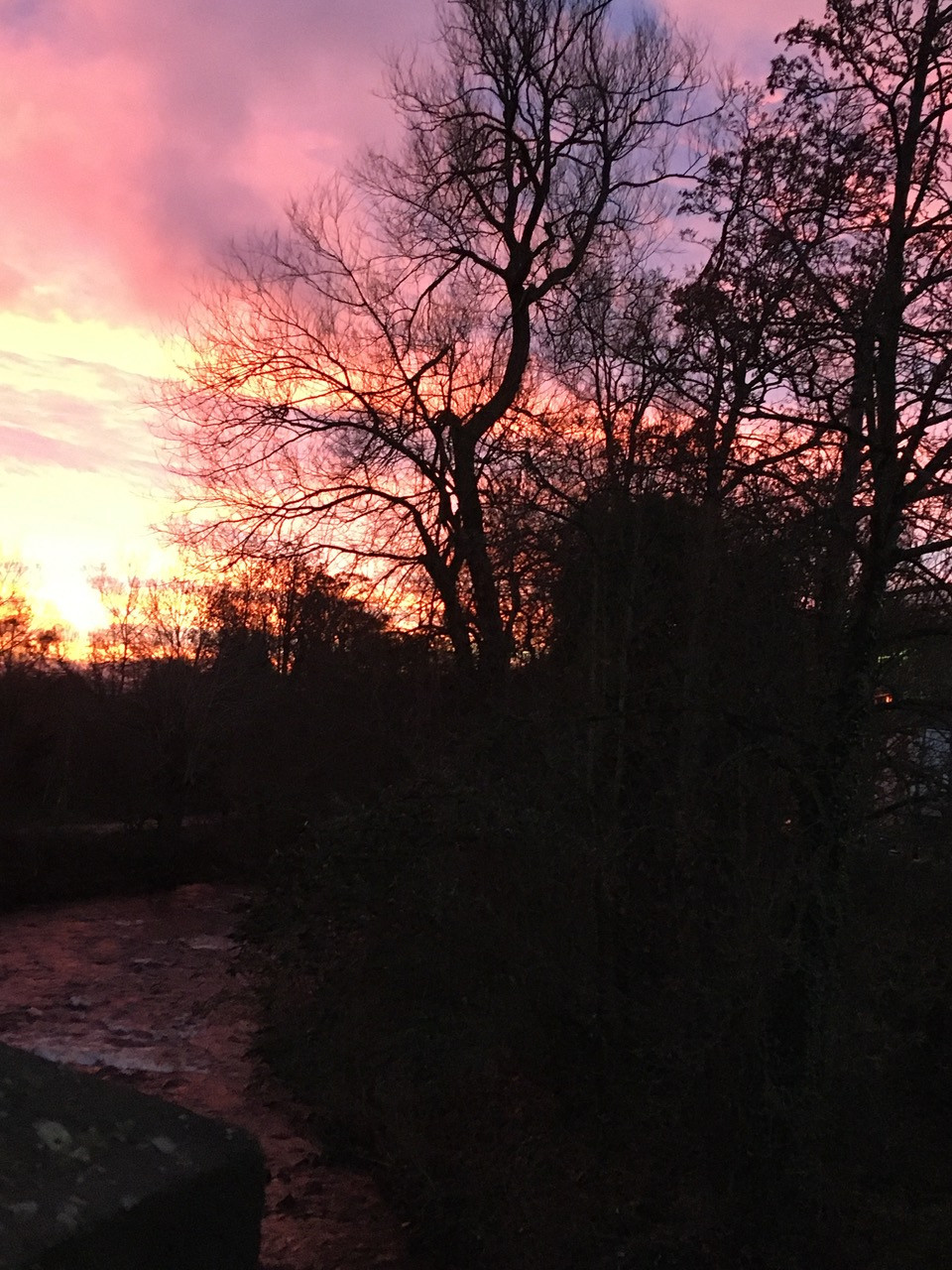 Fwd: Sunrise over grenoside			
					</div><!-- .entry-content -->
		
		<footer>
		
		
		
					
					</footer><!-- .entry-meta -->
	</article><!-- #post -->
				
											
				
		
<hr class=