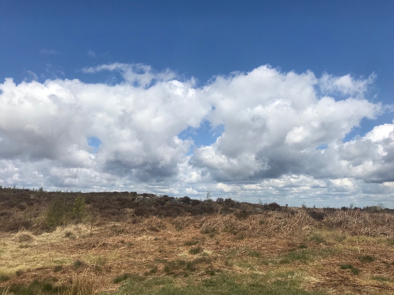 Fwd: Peak District			
					</div><!-- .entry-content -->
		
		<footer>
		
		
		
					
					</footer><!-- .entry-meta -->
	</article><!-- #post -->
				
											
				
		
<hr class=