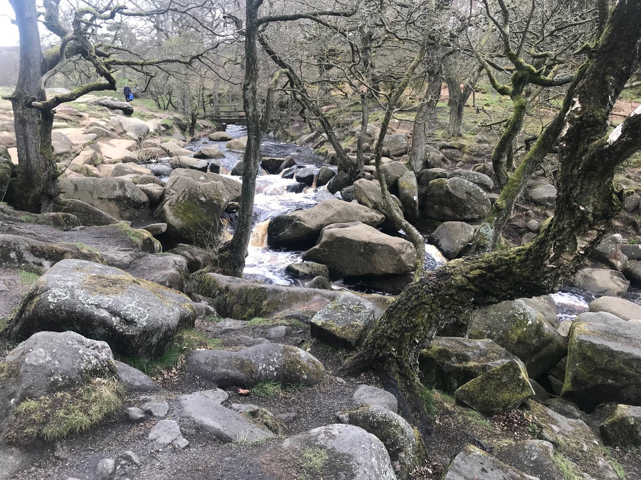 Fwd: Upper Padley			
					</div><!-- .entry-content -->
		
		<footer>
		
		
		
					
					</footer><!-- .entry-meta -->
	</article><!-- #post -->
				
											
				
		
<hr class=