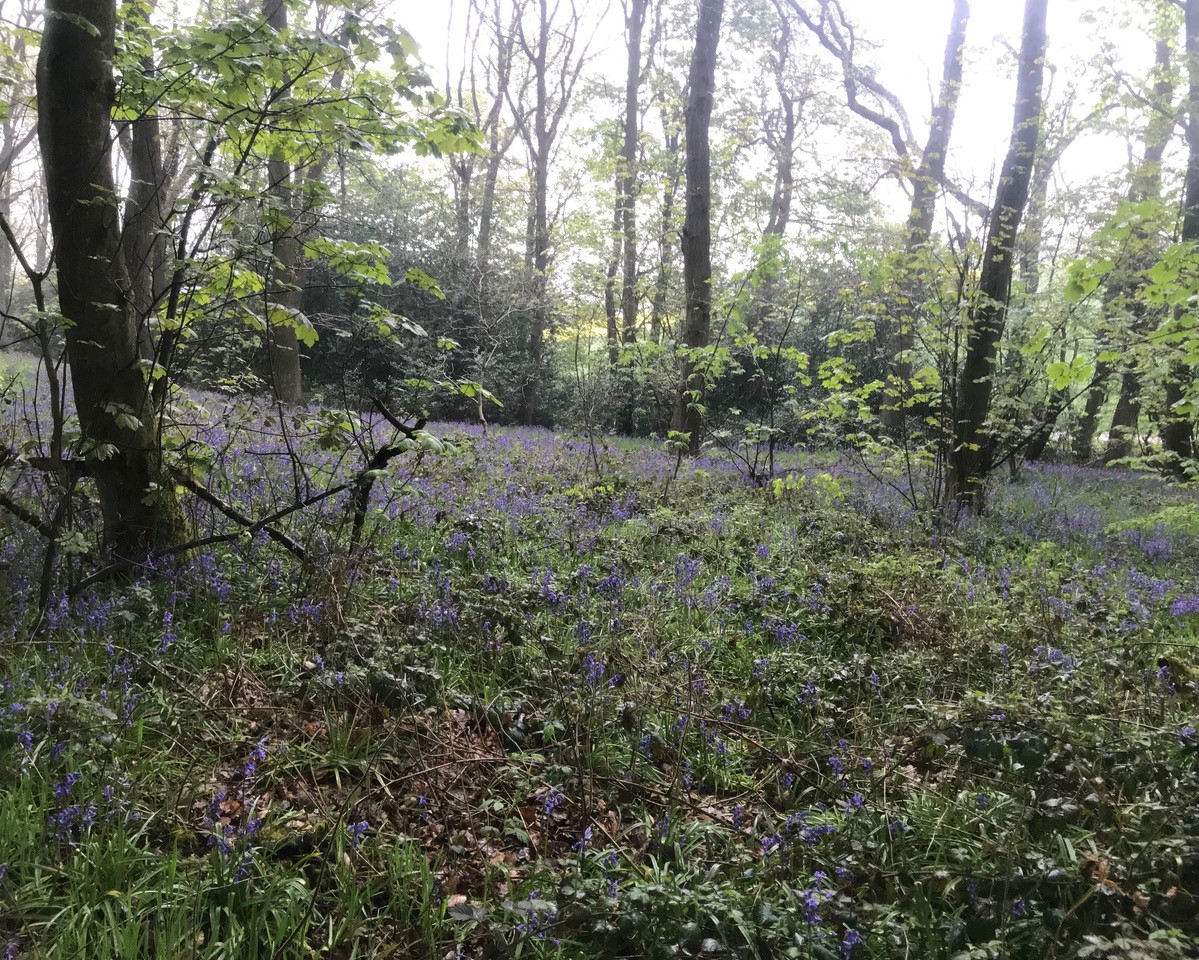 Fwd: Moss Valley			
					</div><!-- .entry-content -->
		
		<footer>
		
		
		
					
					</footer><!-- .entry-meta -->
	</article><!-- #post -->
				
											
				
		
<hr class=