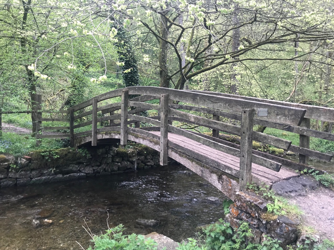Fwd: Bakewell			
					</div><!-- .entry-content -->
		
		<footer>
		
		
		
					
					</footer><!-- .entry-meta -->
	</article><!-- #post -->
				
											
				
		
<hr class=