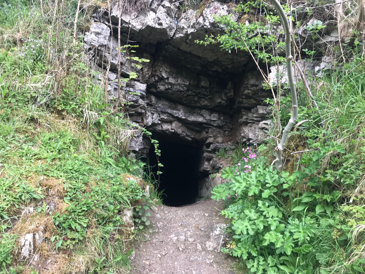 Fwd: Peak District			
					</div><!-- .entry-content -->
		
		<footer>
		
		
		
					
					</footer><!-- .entry-meta -->
	</article><!-- #post -->
				
											
				
		
<hr class=