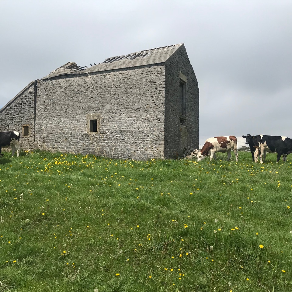 Fwd: Peak District			
					</div><!-- .entry-content -->
		
		<footer>
		
		
		
					
					</footer><!-- .entry-meta -->
	</article><!-- #post -->
				
											
				
		
<hr class=