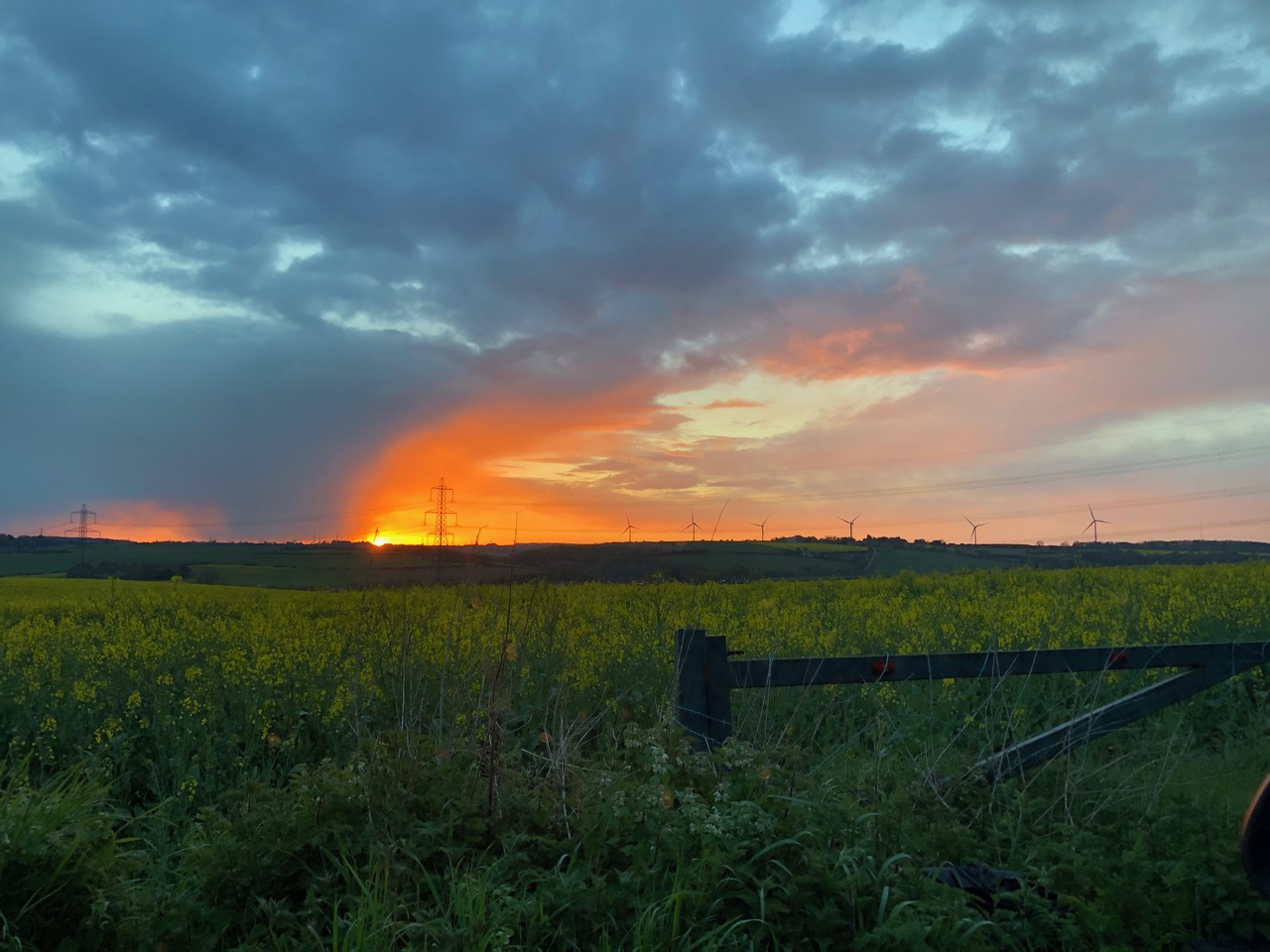 Fwd: Sunrise over Ulley			
					</div><!-- .entry-content -->
		
		<footer>
		
		
		
					
					</footer><!-- .entry-meta -->
	</article><!-- #post -->
				
											
				
		
<hr class=