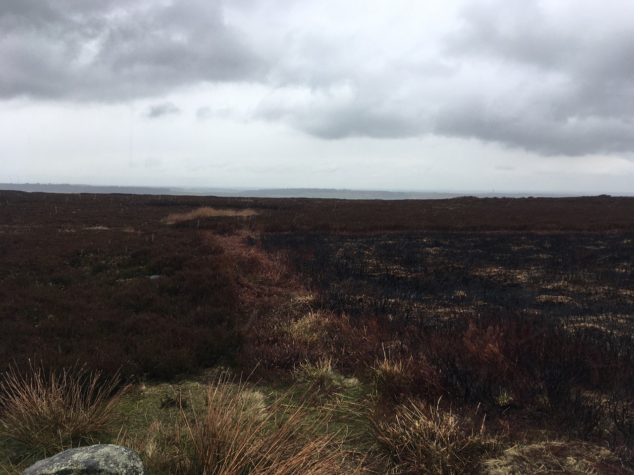 Fwd: Broomhead Moor			
					</div><!-- .entry-content -->
		
		<footer>
		
		
		
					
					</footer><!-- .entry-meta -->
	</article><!-- #post -->
				
											
				
		
<hr class=
