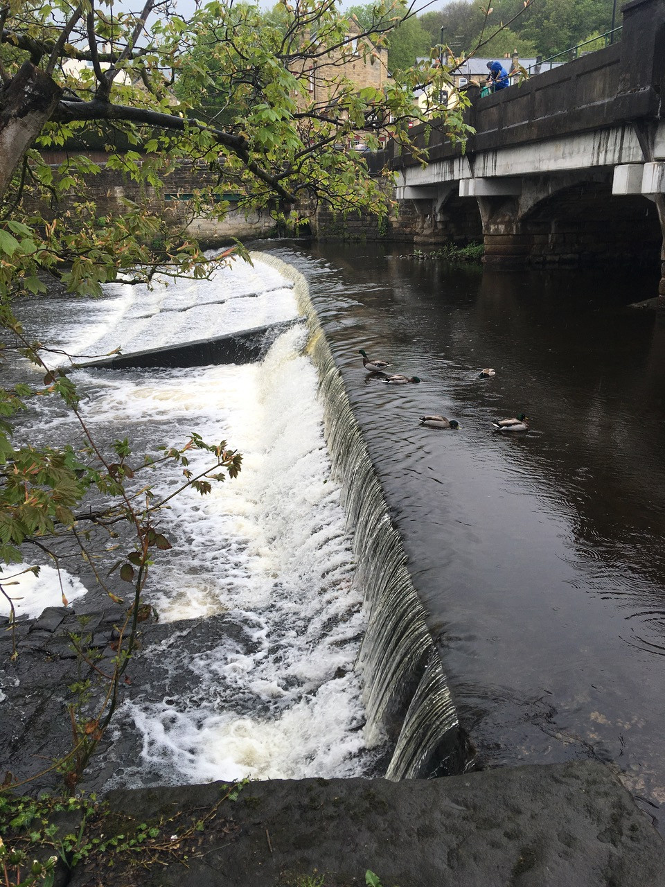 Fwd: Oughtibridge weir			
					</div><!-- .entry-content -->
		
		<footer>
		
		
		
					
					</footer><!-- .entry-meta -->
	</article><!-- #post -->
				
											
				
		
<hr class=