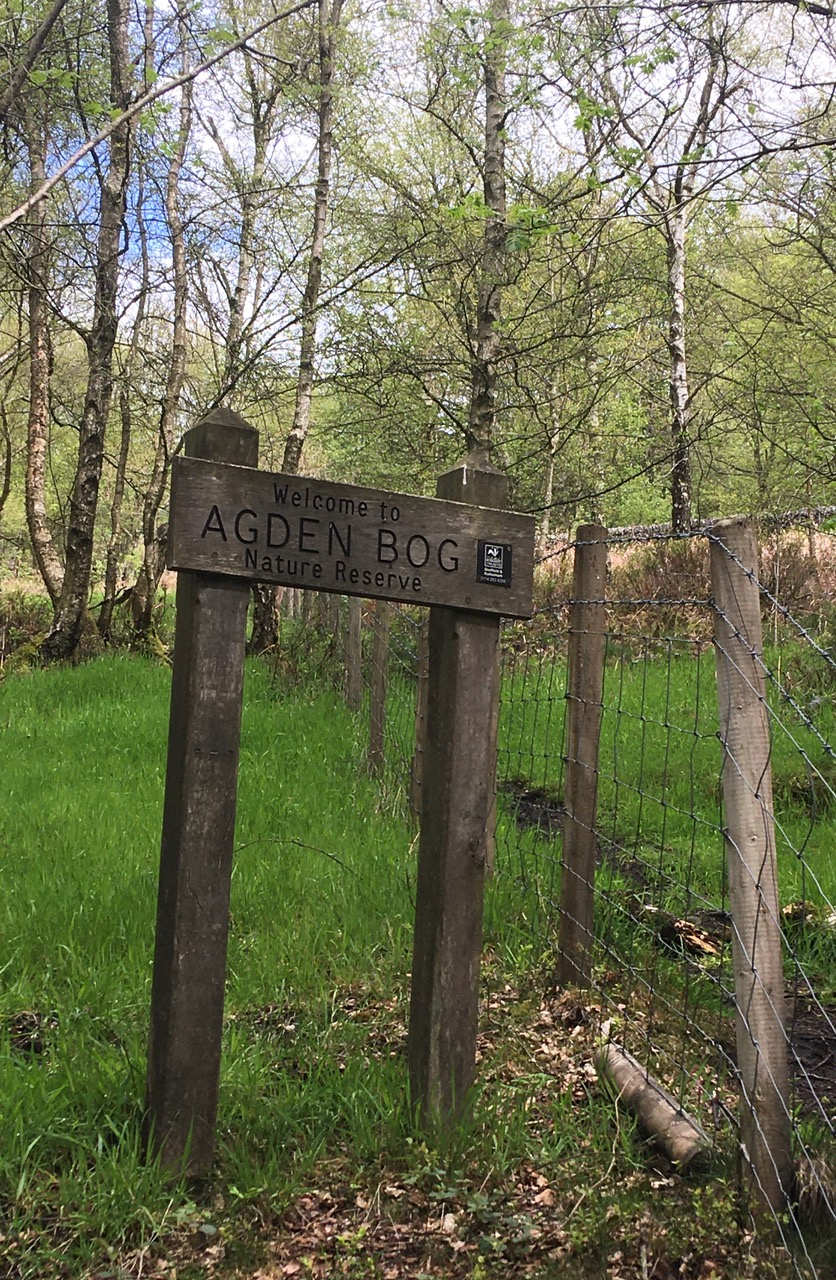 Fwd: Agden bog			
					</div><!-- .entry-content -->
		
		<footer>
		
		
		
					
					</footer><!-- .entry-meta -->
	</article><!-- #post -->
				
											
				
		
<hr class=