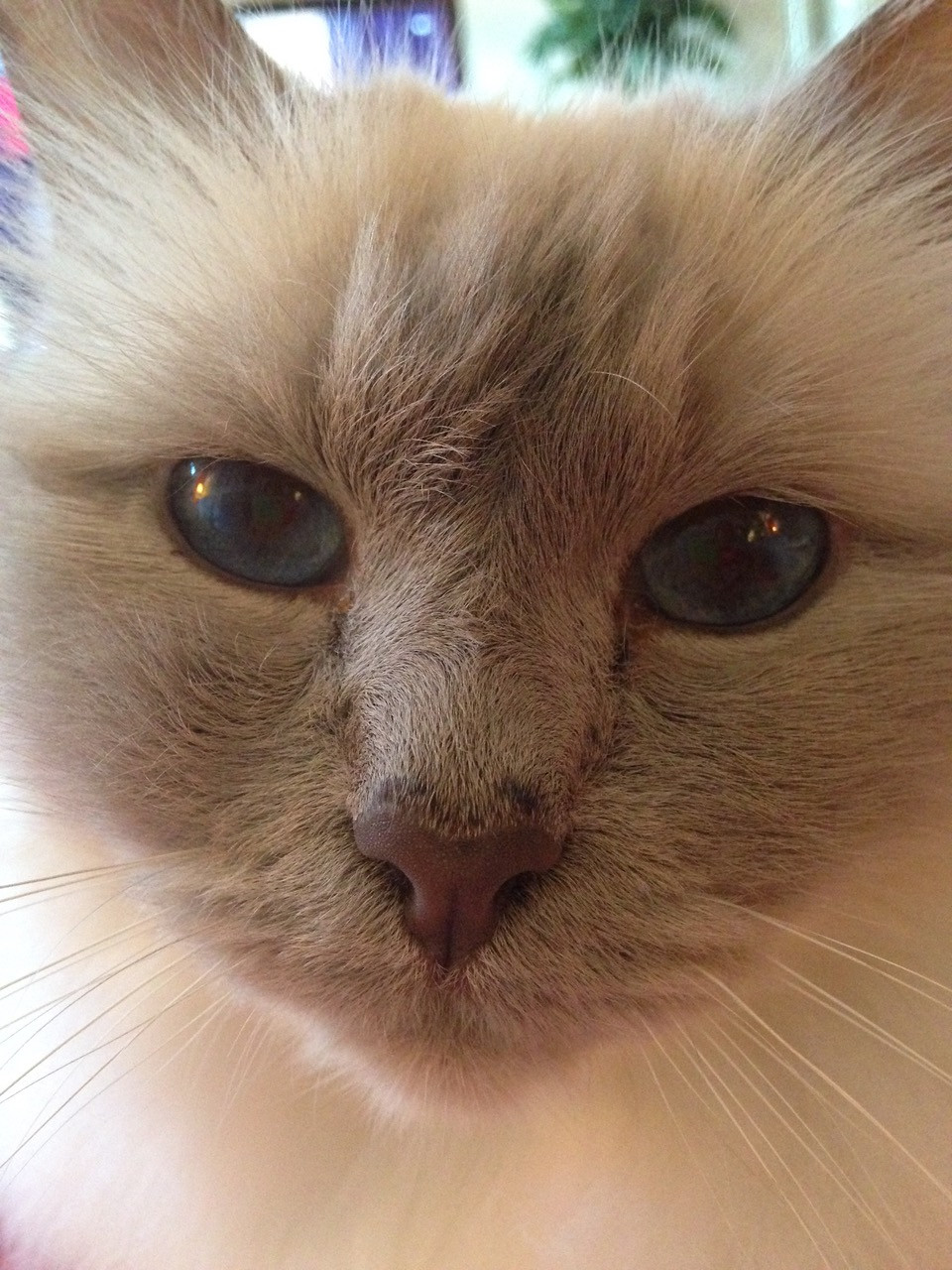 Fwd: Sookie			
					</div><!-- .entry-content -->
		
		<footer>
		
		
		
					
					</footer><!-- .entry-meta -->
	</article><!-- #post -->
				
											
				
		
<hr class=
