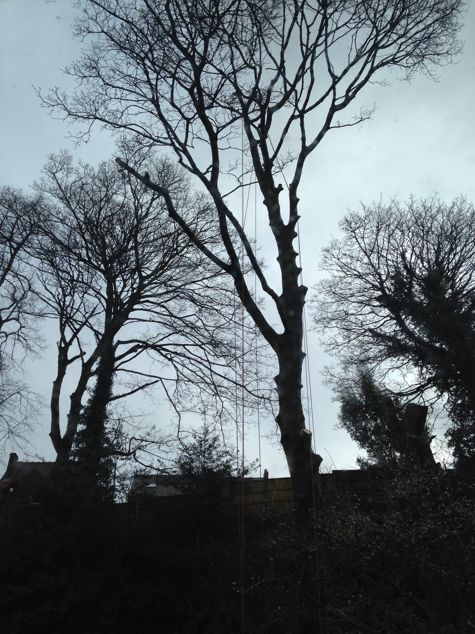 Fwd: Middlewood			
					</div><!-- .entry-content -->
		
		<footer>
		
		
		
					
					</footer><!-- .entry-meta -->
	</article><!-- #post -->
				
											
				
		
<hr class=