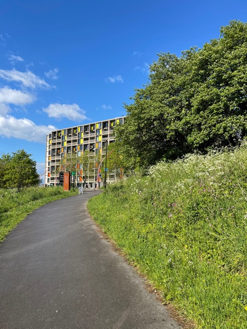 Fwd: South Street Park/River Sheaf Walk pics			
					</div><!-- .entry-content -->
		
		<footer>
		
		
		
					
					</footer><!-- .entry-meta -->
	</article><!-- #post -->
				
											
				
		
<hr class=