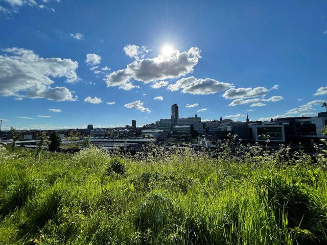 Fwd: South Street Park/River Sheaf Walk pics			
					</div><!-- .entry-content -->
		
		<footer>
		
		
		
					
					</footer><!-- .entry-meta -->
	</article><!-- #post -->
				
											
				
		
<hr class=
