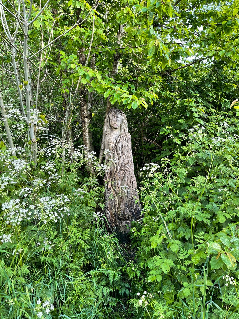 Fwd: South Street Park/River Sheaf Walk pics			
					</div><!-- .entry-content -->
		
		<footer>
		
		
		
					
					</footer><!-- .entry-meta -->
	</article><!-- #post -->
				
											
				
		
<hr class=
