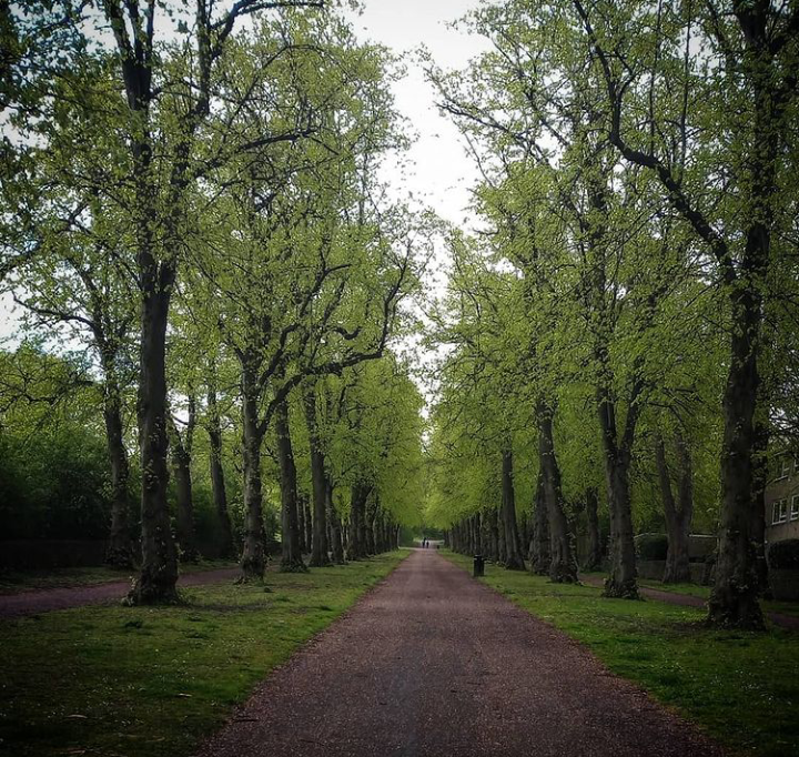 Fwd: Norfolk park by shona			
					</div><!-- .entry-content -->
		
		<footer>
		
		
		
					
					</footer><!-- .entry-meta -->
	</article><!-- #post -->
				
											
				
		
<hr class=