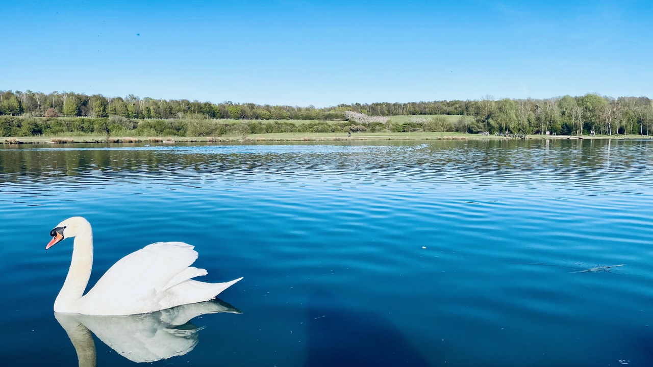 Fwd: Rother Valley			
					</div><!-- .entry-content -->
		
		<footer>
		
		
		
					
					</footer><!-- .entry-meta -->
	</article><!-- #post -->
				
											
				
		
<hr class=