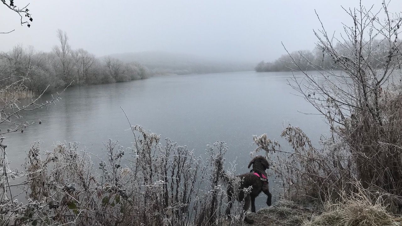 Fwd: Treeton Dyke			
					</div><!-- .entry-content -->
		
		<footer>
		
		
		
					
					</footer><!-- .entry-meta -->
	</article><!-- #post -->
				
											
				
		
<hr class=