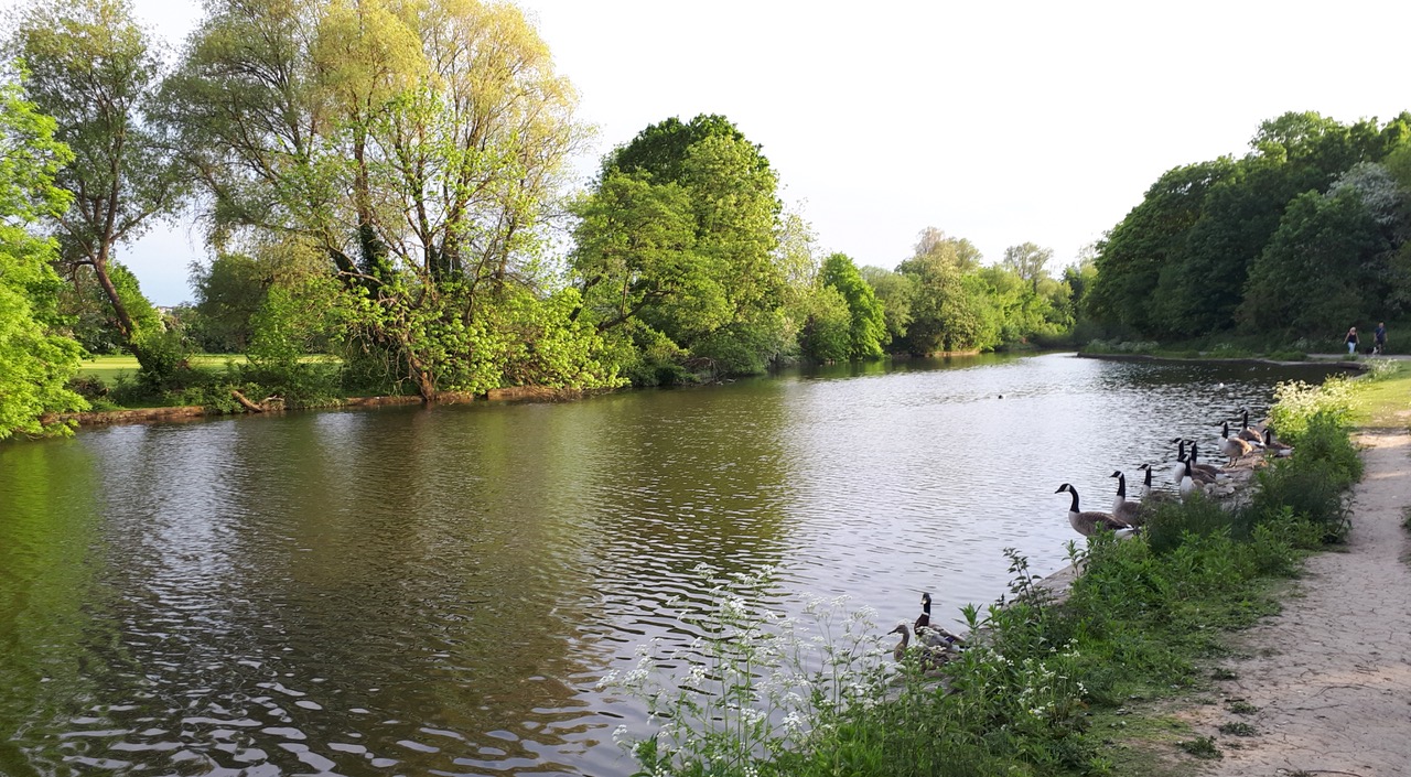 Fwd: Photograph by James Marples at Walton Dam			
					</div><!-- .entry-content -->
		
		<footer>
		
		
		
					
					</footer><!-- .entry-meta -->
	</article><!-- #post -->
				
											
				
		
<hr class=