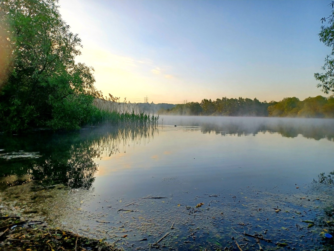 Fwd: Treeton Dyke…….Mark Winter			
					</div><!-- .entry-content -->
		
		<footer>
		
		
		
					
					</footer><!-- .entry-meta -->
	</article><!-- #post -->
				
											
				
		
<hr class=