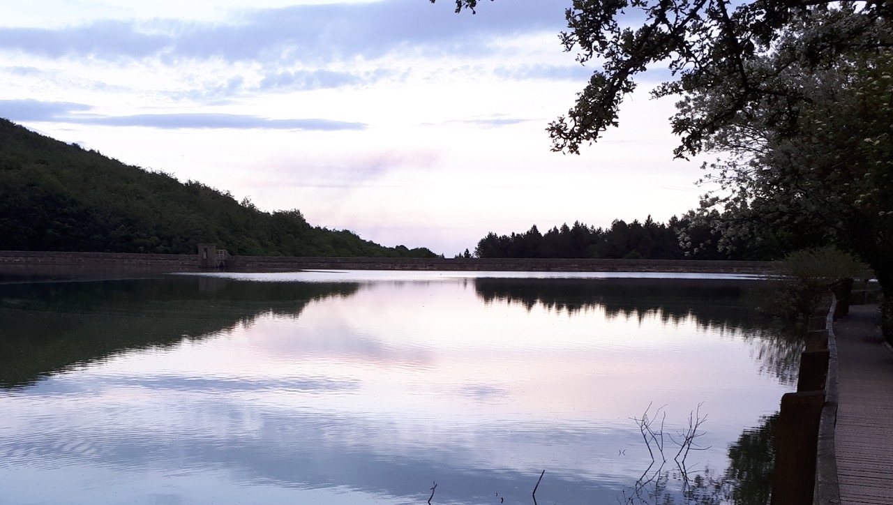 Fwd: Photograph by James Marples, Linacre Reservoir			
					</div><!-- .entry-content -->
		
		<footer>
		
		
		
					
					</footer><!-- .entry-meta -->
	</article><!-- #post -->
				
											
				
		
<hr class=