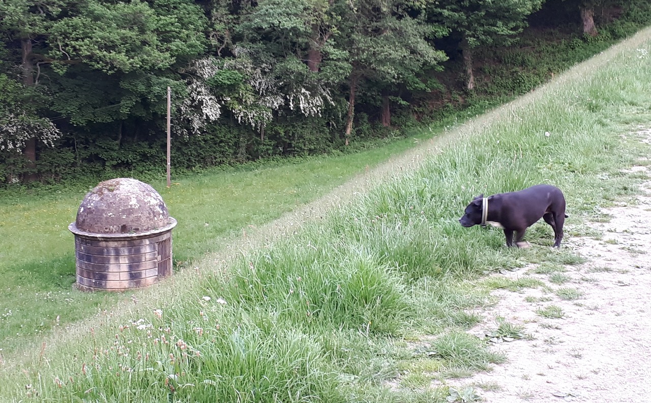 Fwd: Photograph by James Marples, Linacre Reservoir			
					</div><!-- .entry-content -->
		
		<footer>
		
		
		
					
					</footer><!-- .entry-meta -->
	</article><!-- #post -->
				
											
				
		
<hr class=
