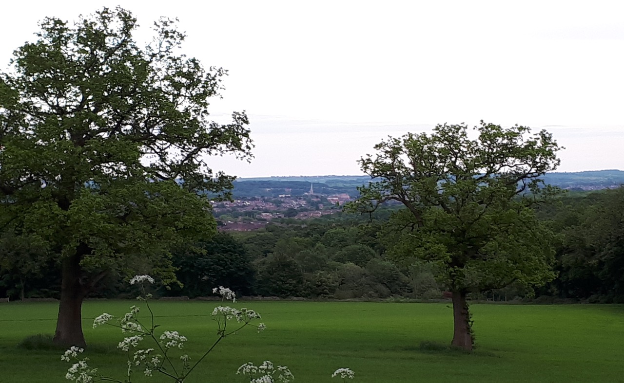 Fwd: Photograph by James Marples, Chesterfield			
					</div><!-- .entry-content -->
		
		<footer>
		
		
		
					
					</footer><!-- .entry-meta -->
	</article><!-- #post -->
				
											
				
		
<hr class=