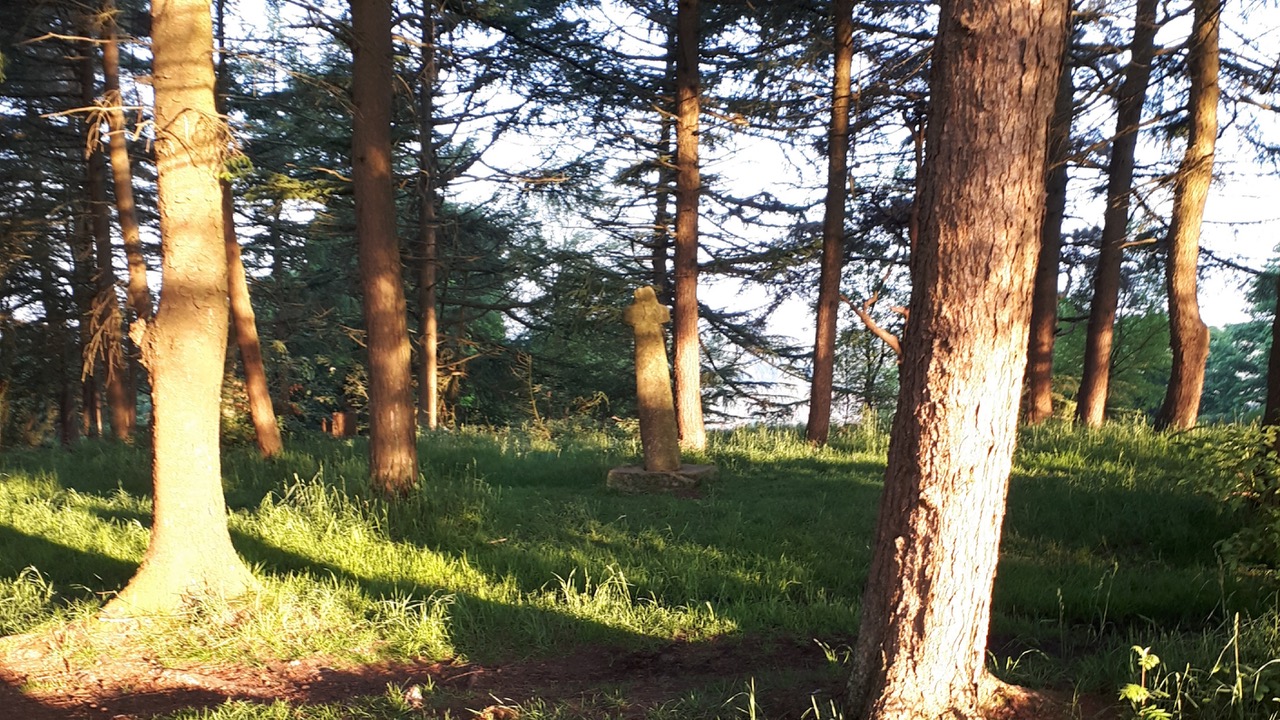 Fwd: Photograph by James Marples, Shillito Woods			
					</div><!-- .entry-content -->
		
		<footer>
		
		
		
					
					</footer><!-- .entry-meta -->
	</article><!-- #post -->
				
											
				
		
<hr class=