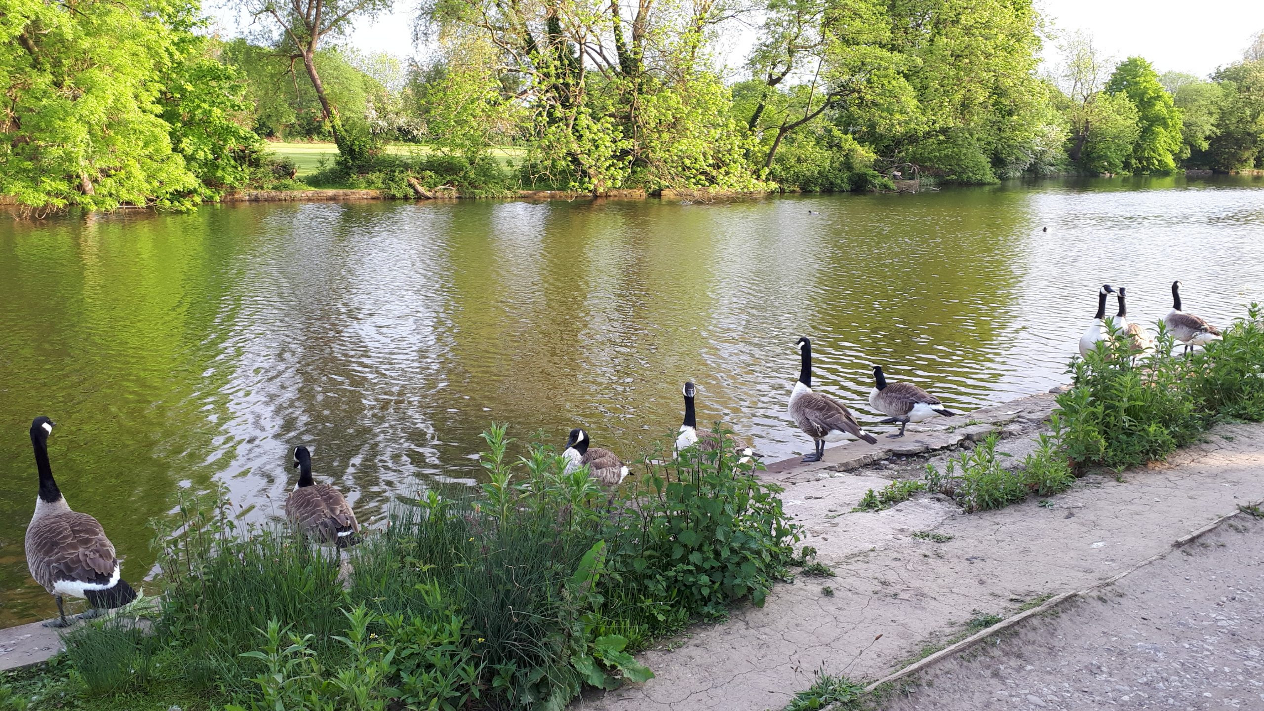 Fwd: Photograph by James Marples, Walton Dam			
					</div><!-- .entry-content -->
		
		<footer>
		
		
		
					
					</footer><!-- .entry-meta -->
	</article><!-- #post -->
				
											
				
		
<hr class=