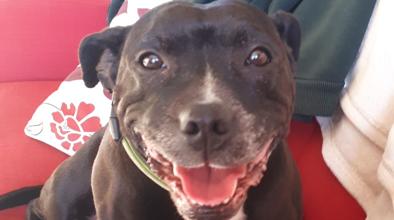 Fwd: Photograph by James Marples of Roxy in Sheffield			
					</div><!-- .entry-content -->
		
		<footer>
		
		
		
					
					</footer><!-- .entry-meta -->
	</article><!-- #post -->
				
											
				
		
<hr class=