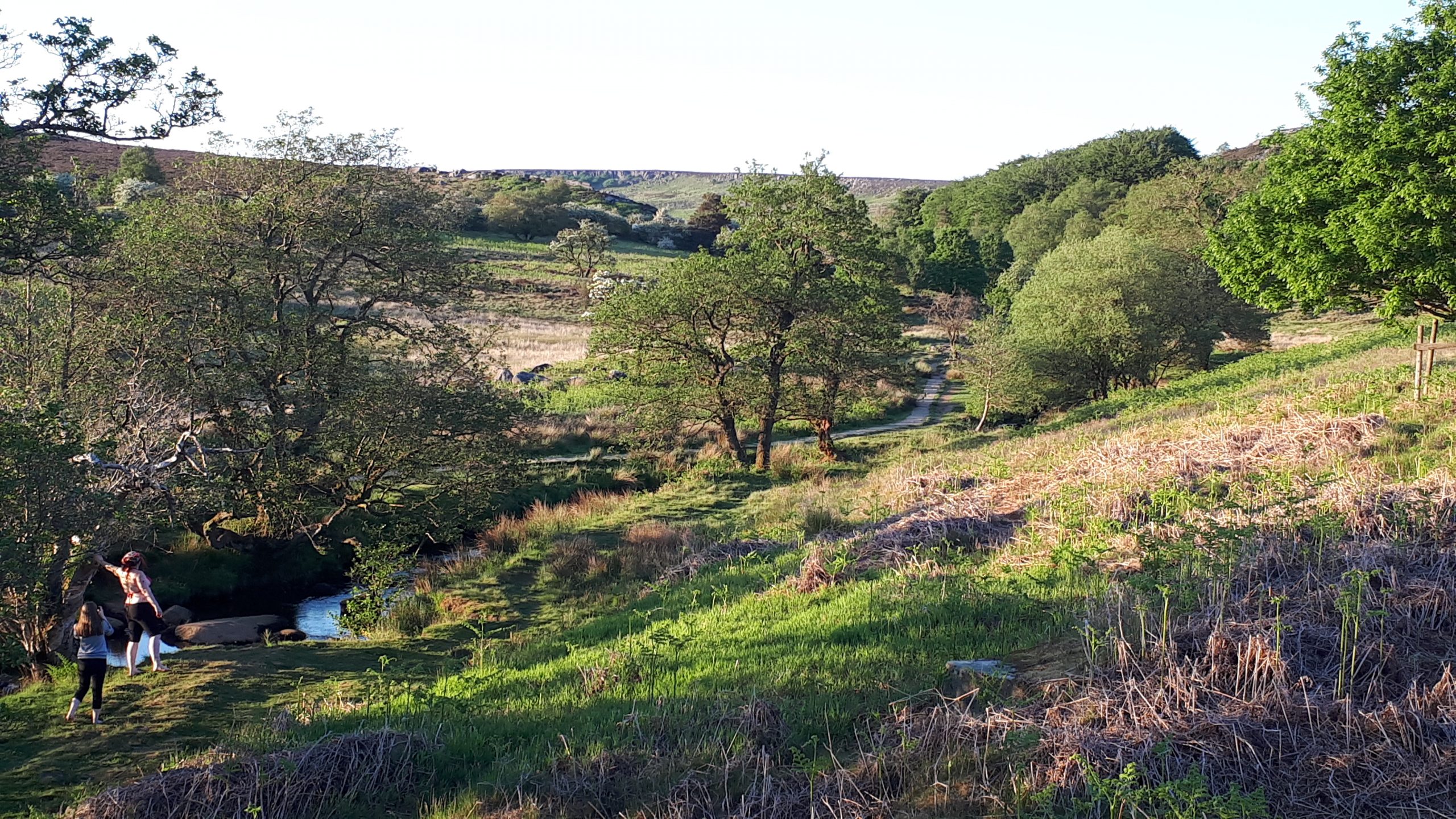 Fwd: Photograph by James Marples, Padley Gorge			
					</div><!-- .entry-content -->
		
		<footer>
		
		
		
					
					</footer><!-- .entry-meta -->
	</article><!-- #post -->
				
											
				
		
<hr class=