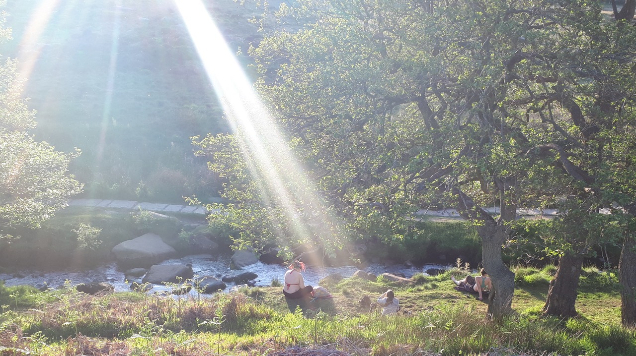 Fwd: Photograph by James Marples, Padley Gorge			
					</div><!-- .entry-content -->
		
		<footer>
		
		
		
					
					</footer><!-- .entry-meta -->
	</article><!-- #post -->
				
											
				
		
<hr class=