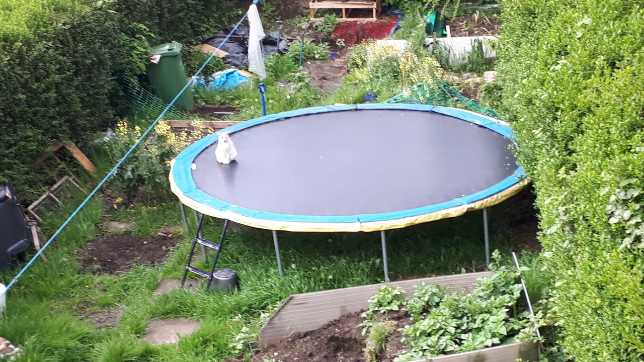 Fwd: James Marples, Trampoline Cat, Chesterfield			
					</div><!-- .entry-content -->
		
		<footer>
		
		
		
					
					</footer><!-- .entry-meta -->
	</article><!-- #post -->
				
											
				
		
<hr class=