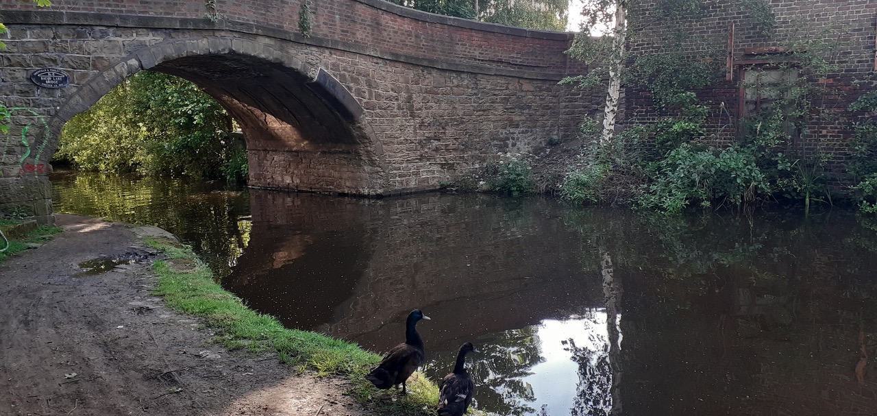 Fwd: Rustic bridge in Atterclife			
					</div><!-- .entry-content -->
		
		<footer>
		
		
		
					
					</footer><!-- .entry-meta -->
	</article><!-- #post -->
				
											
				
		
<hr class=
