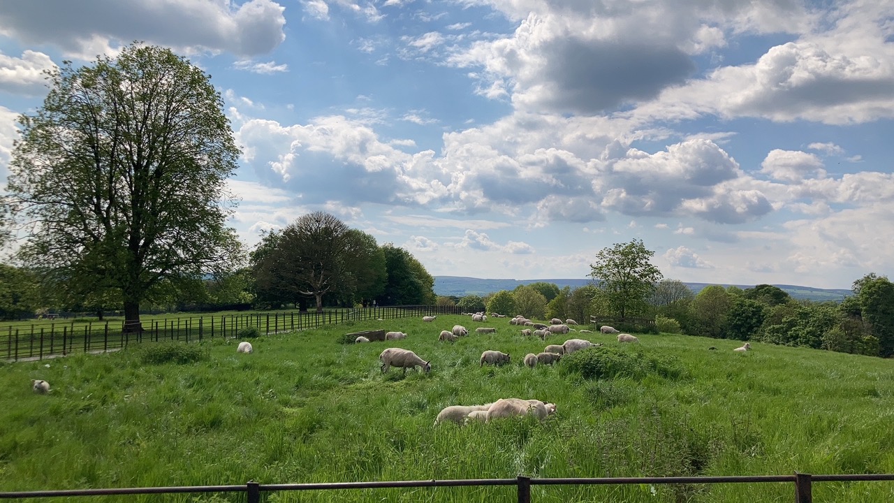 Fwd: Sheep			
					</div><!-- .entry-content -->
		
		<footer>
		
		
		
					
					</footer><!-- .entry-meta -->
	</article><!-- #post -->
				
											
				
		
<hr class=