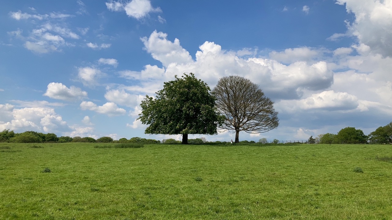 Fwd: Trees			
					</div><!-- .entry-content -->
		
		<footer>
		
		
		
					
					</footer><!-- .entry-meta -->
	</article><!-- #post -->
				
											
				
		
<hr class=