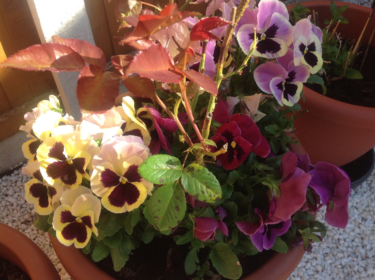 Fwd: Photograph by Nira			
					</div><!-- .entry-content -->
		
		<footer>
		
		
		
					
					</footer><!-- .entry-meta -->
	</article><!-- #post -->
				
											
				
		
<hr class=