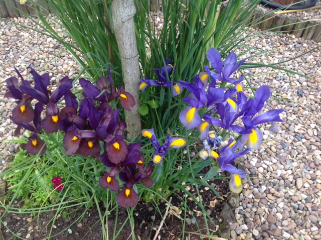 Fwd: Photograph by Nira			
					</div><!-- .entry-content -->
		
		<footer>
		
		
		
					
					</footer><!-- .entry-meta -->
	</article><!-- #post -->
				
											
				
		
<hr class=