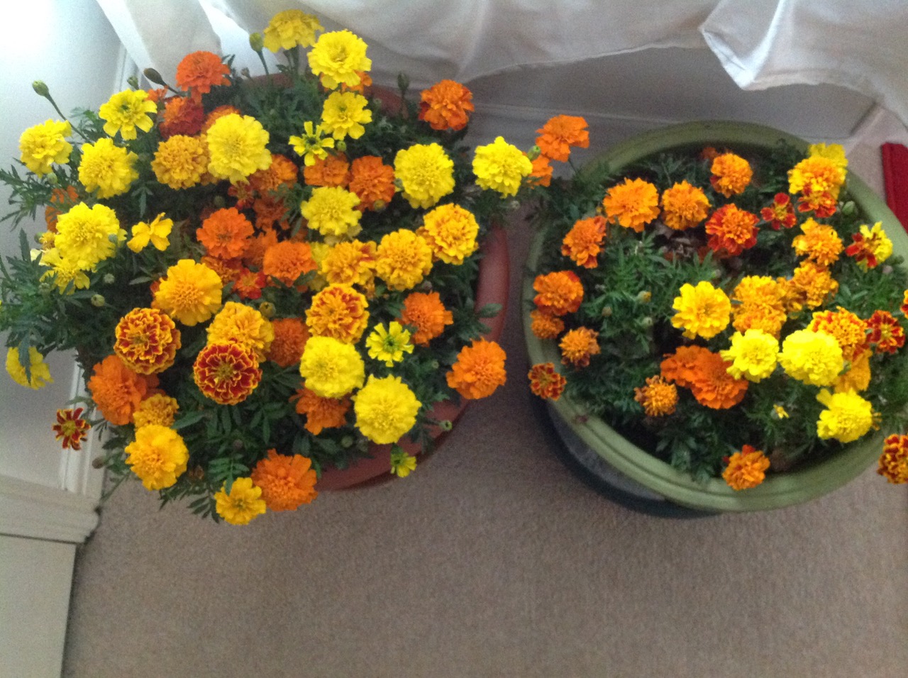 Fwd: Photograph by Nira			
					</div><!-- .entry-content -->
		
		<footer>
		
		
		
					
					</footer><!-- .entry-meta -->
	</article><!-- #post -->
				
											
				
		
<hr class=