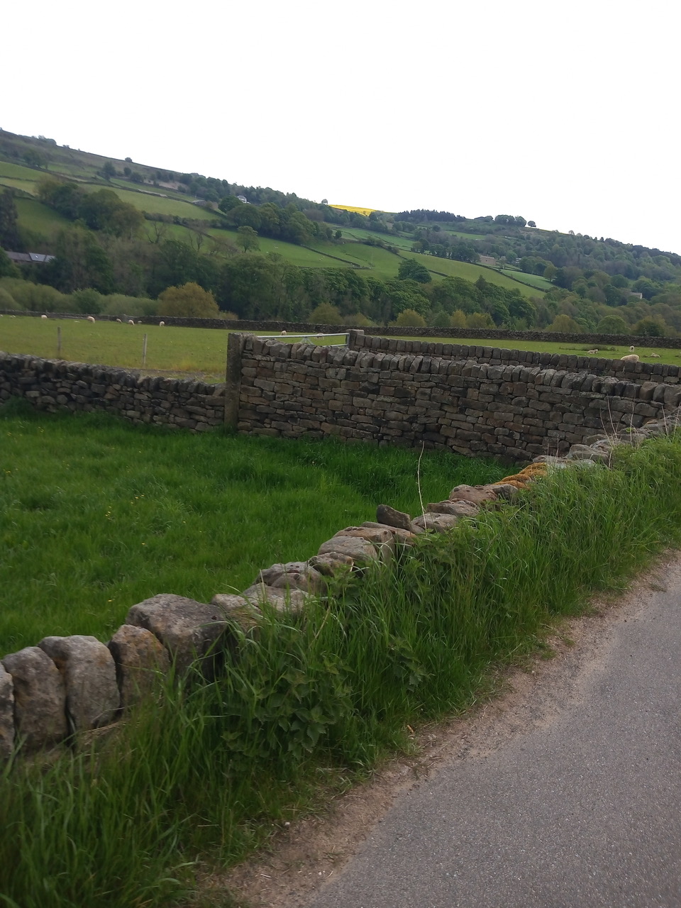 Fwd: Loxley valley			
					</div><!-- .entry-content -->
		
		<footer>
		
		
		
					
					</footer><!-- .entry-meta -->
	</article><!-- #post -->
				
											
				
		
<hr class=