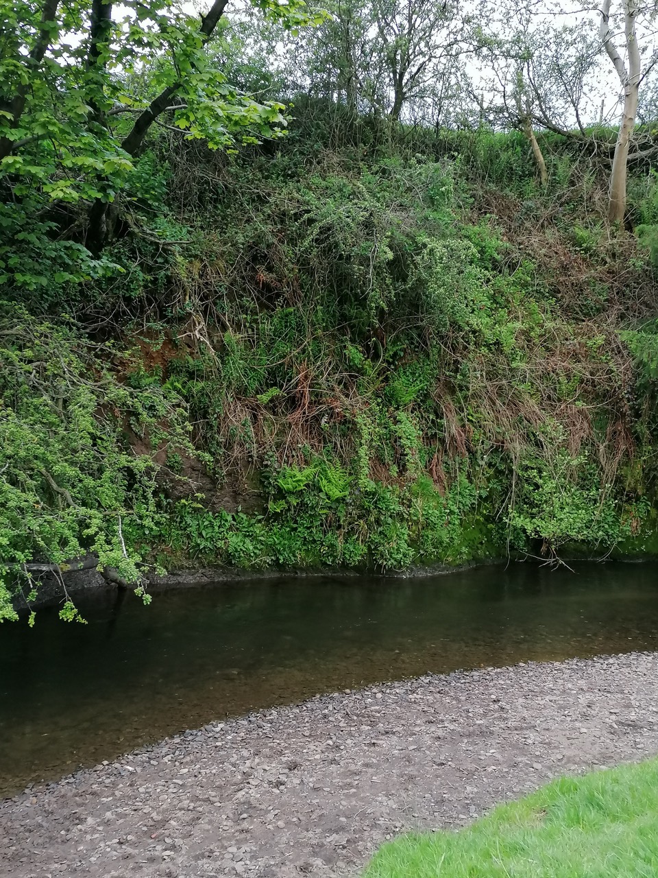 Fwd: River Noe by Vee Jay			
					</div><!-- .entry-content -->
		
		<footer>
		
		
		
					
					</footer><!-- .entry-meta -->
	</article><!-- #post -->
				
											
				
		
<hr class=