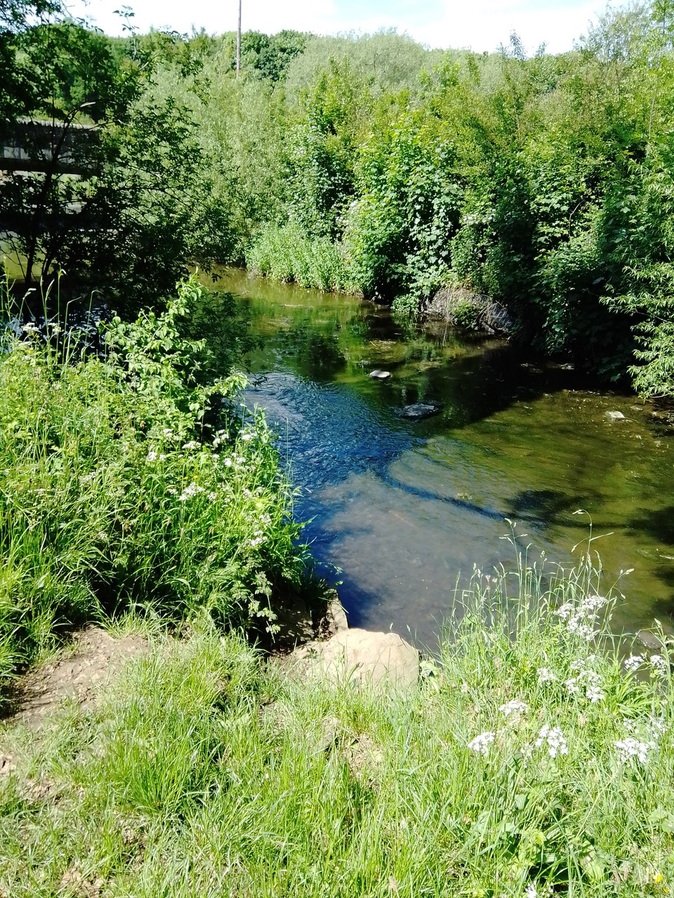 Fwd: Worsborough mill			
					</div><!-- .entry-content -->
		
		<footer>
		
		
		
					
					</footer><!-- .entry-meta -->
	</article><!-- #post -->
				
											
				
		
<hr class=