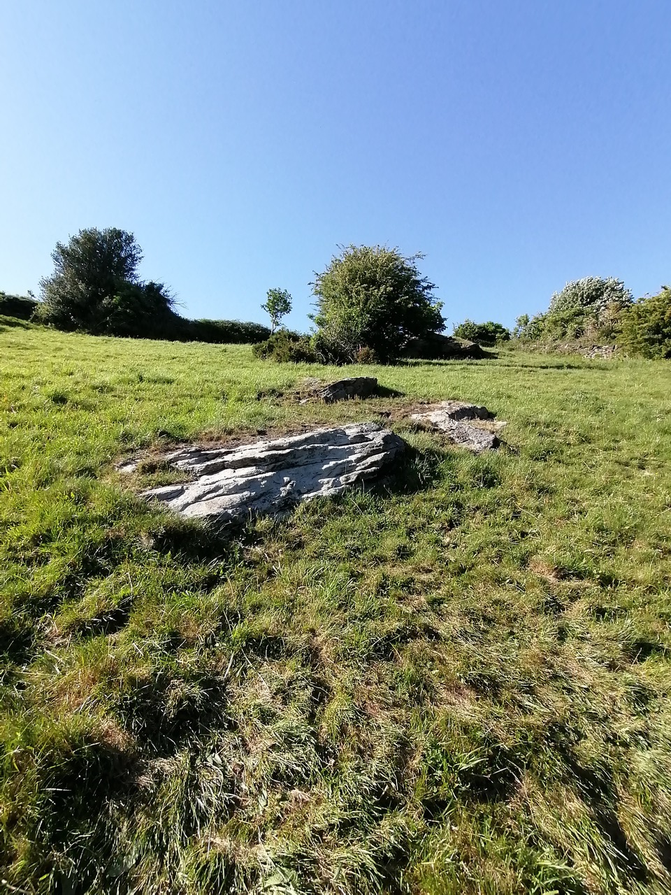 Fwd: Overlooking Coppice by Vee Jay			
					</div><!-- .entry-content -->
		
		<footer>
		
		
		
					
					</footer><!-- .entry-meta -->
	</article><!-- #post -->
				
											
				
		
<hr class=