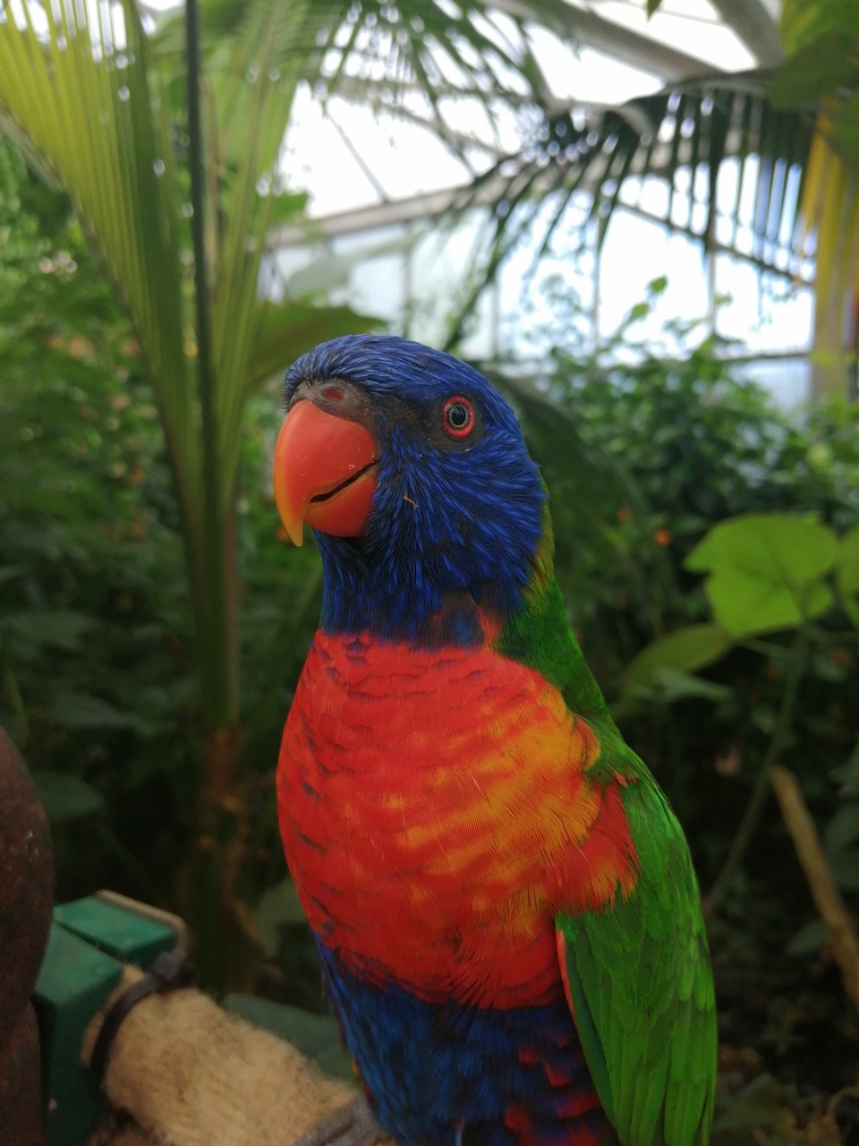 Fwd: Tropical butterfly house			
					</div><!-- .entry-content -->
		
		<footer>
		
		
		
					
					</footer><!-- .entry-meta -->
	</article><!-- #post -->
				
											
				
		
<hr class=