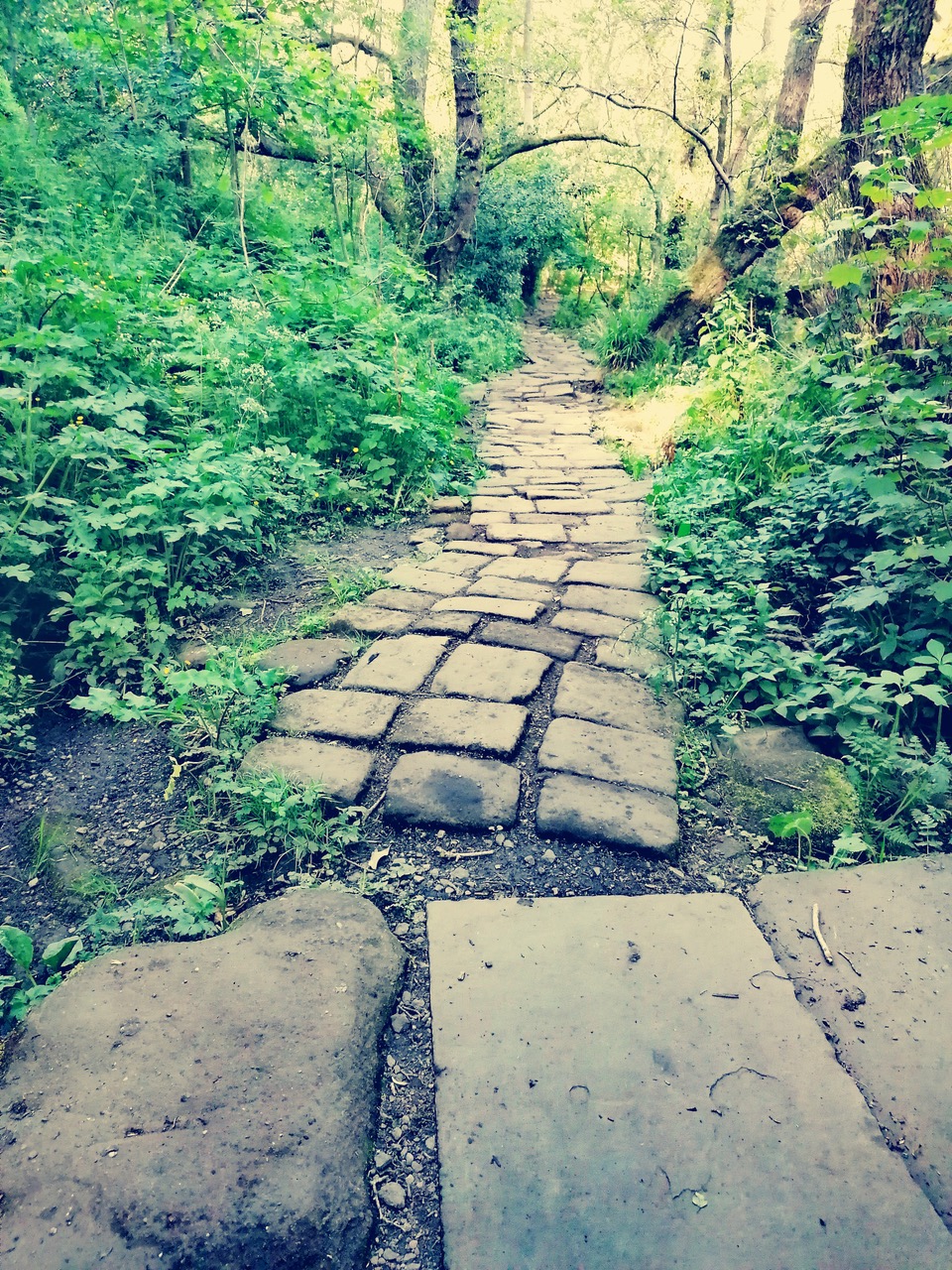 Fwd: Rivelin by Vee Jay			
					</div><!-- .entry-content -->
		
		<footer>
		
		
		
					
					</footer><!-- .entry-meta -->
	</article><!-- #post -->
				
											
				
		
<hr class=