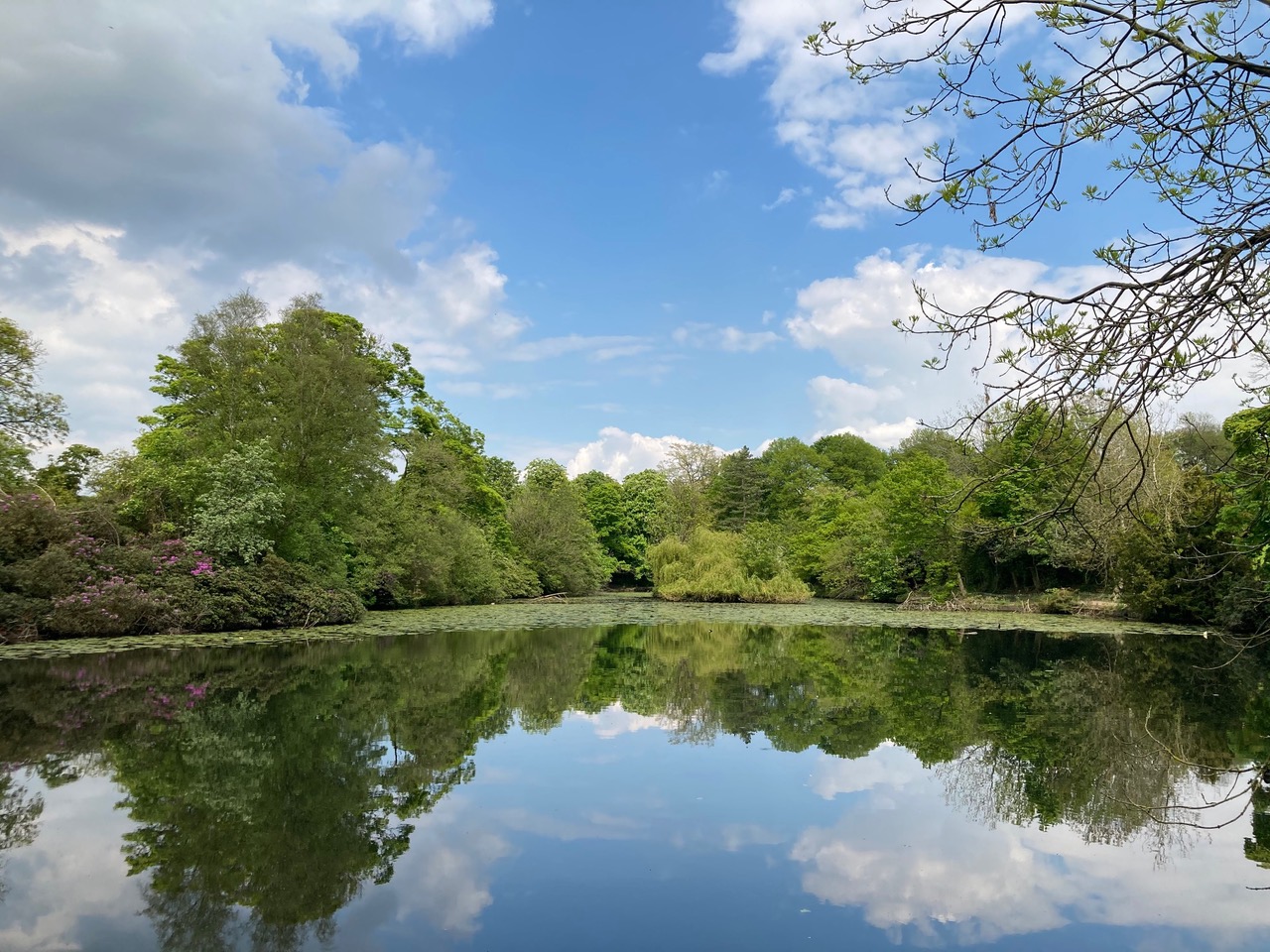 Fwd: Lake			
					</div><!-- .entry-content -->
		
		<footer>
		
		
		
					
					</footer><!-- .entry-meta -->
	</article><!-- #post -->
				
											
				
		
<hr class=