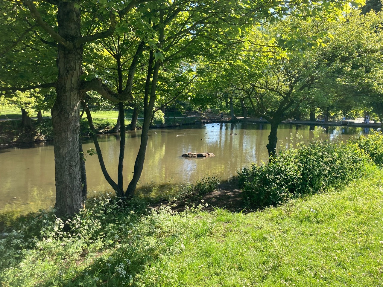 Fwd: Lake			
					</div><!-- .entry-content -->
		
		<footer>
		
		
		
					
					</footer><!-- .entry-meta -->
	</article><!-- #post -->
				
											
				
		
<hr class=