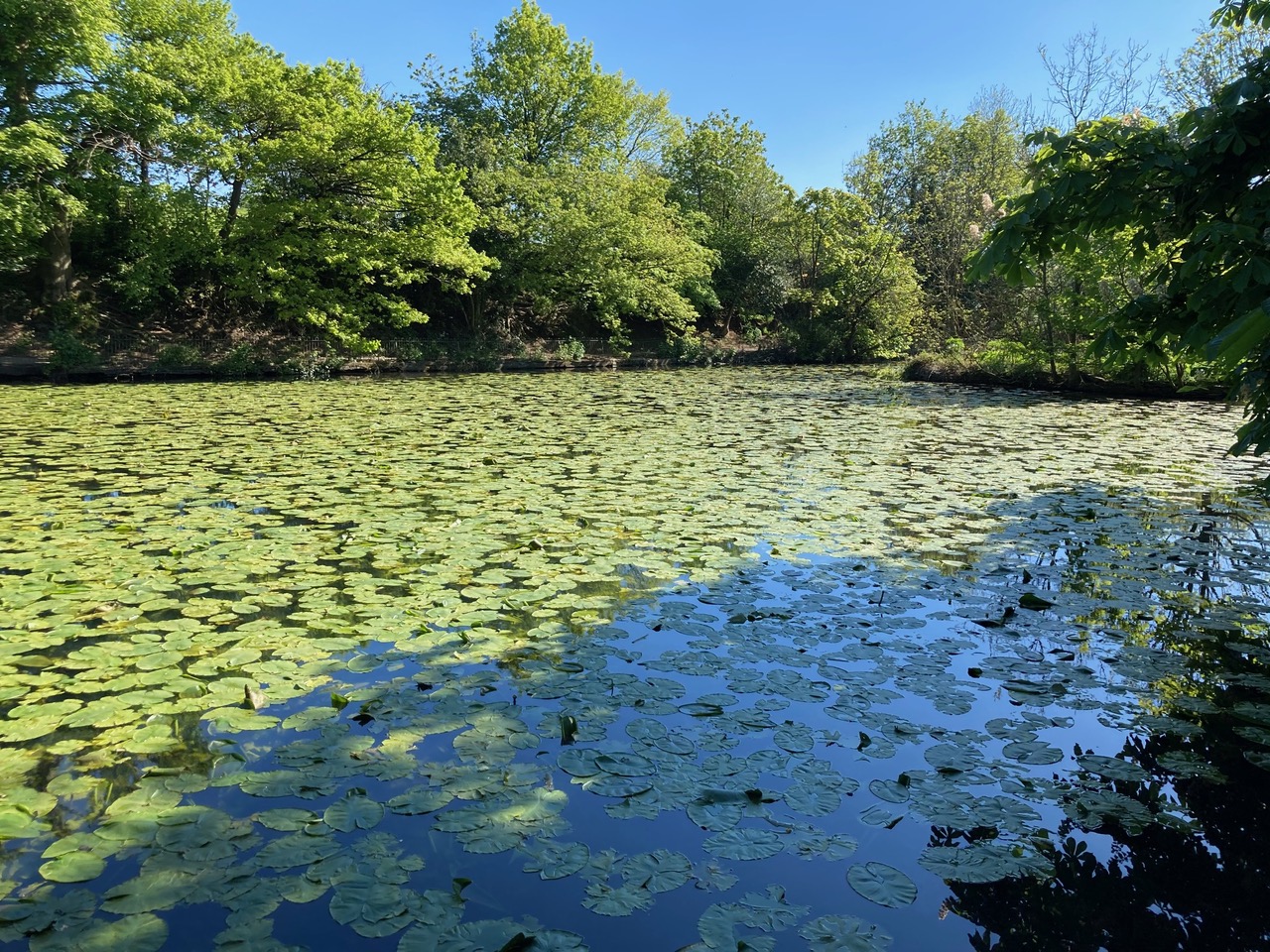 Fwd: Lake			
					</div><!-- .entry-content -->
		
		<footer>
		
		
		
					
					</footer><!-- .entry-meta -->
	</article><!-- #post -->
				
											
				
		
<hr class=
